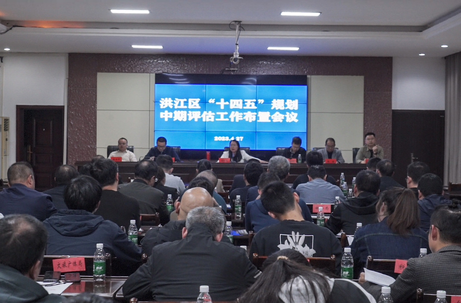 楊健桃主持召開洪江區(qū)“十四五”規(guī)劃中期評估工作布置會