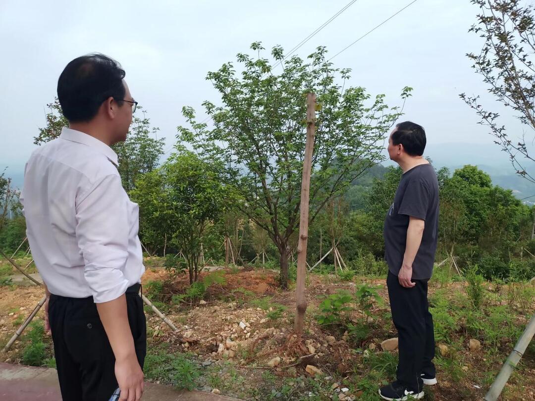 區(qū)工委書記劉曉明檢查嵩云山  地質(zhì)災(zāi)害點(diǎn)防治工作