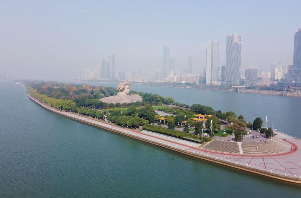 突出问题导向 解决发展难题（学思想 强党性 重实践 建新功）