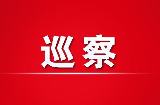洪江區(qū)工委巡察工作領導小組召開會議