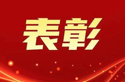 首屆“懷化市鄉(xiāng)村振興青年先鋒”表彰名單來了，是他們→