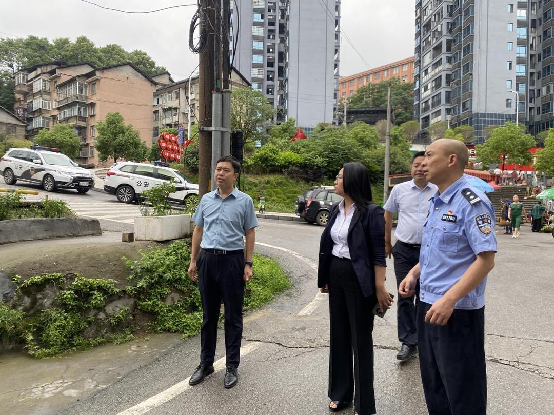 楊健桃?guī)ш牂z查道路交通安全隱患工作