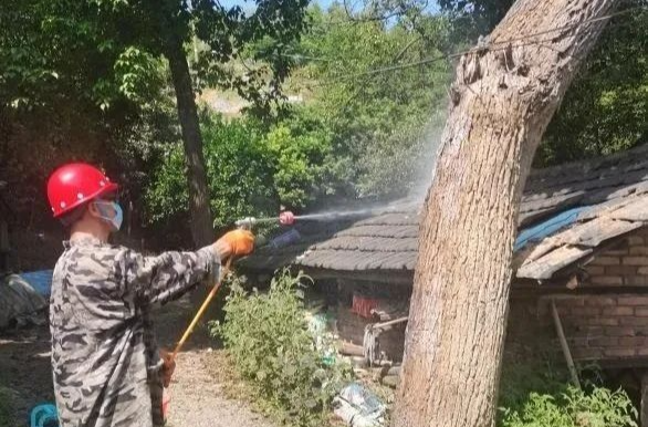 白蟻出沒怎么辦？別慌，他們有辦法！
