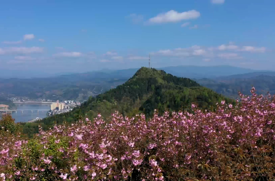 為湖南打造內(nèi)陸地區(qū)改革開放高地作出新貢獻·縣市區(qū)委書記訪談——劉曉明：搶抓機遇 乘勢而上 以實干實績?yōu)槿懈母镩_放大局增光添彩