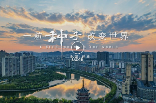 來懷化，感受種子的力量！易烊千璽擔(dān)任懷化城市形象大使