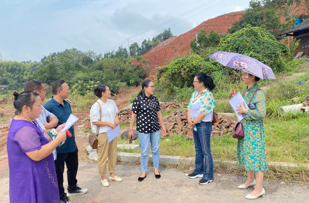 代表委員齊督查 民生項目促發(fā)展