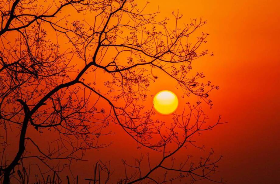 莫道桑榆晚，為霞尚滿天