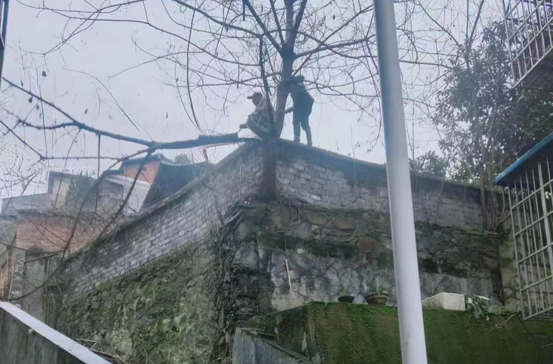 懸著的心，終于落下來了！