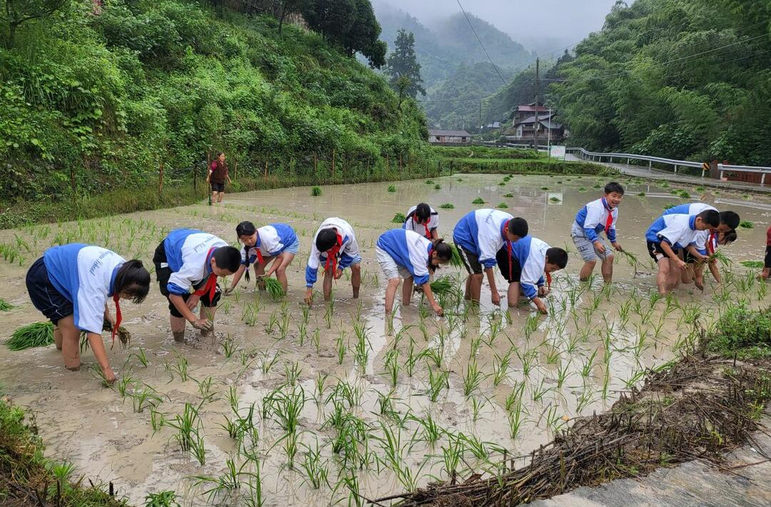 這個課堂，很接地氣！