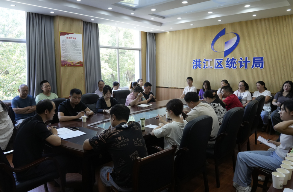 洪江區(qū)召開2024年度住戶調(diào)查工作推進(jìn)會