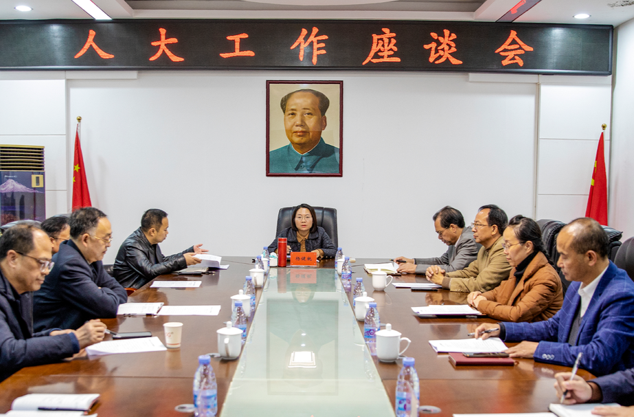 楊健桃調(diào)研區(qū)人大工委工作