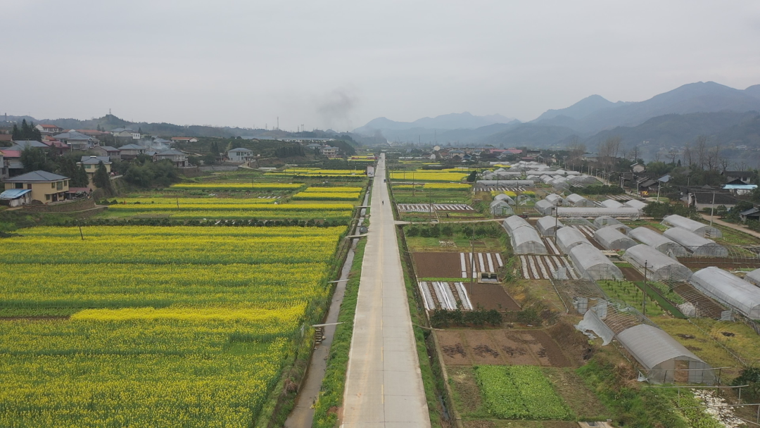 洪江區(qū)聚焦“三農”新賽道，跑出鄉(xiāng)村振興“加速度”