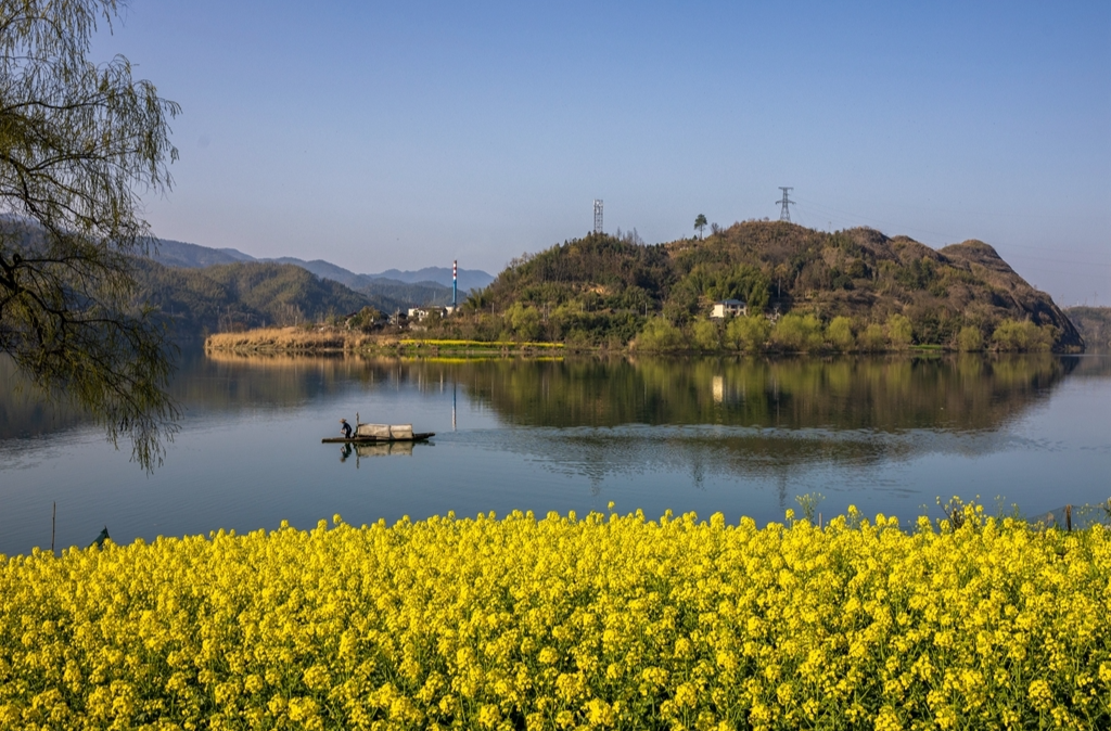 福地懷化?浪漫季丨洪江區(qū)灘頭村：春日花海，山水畫卷