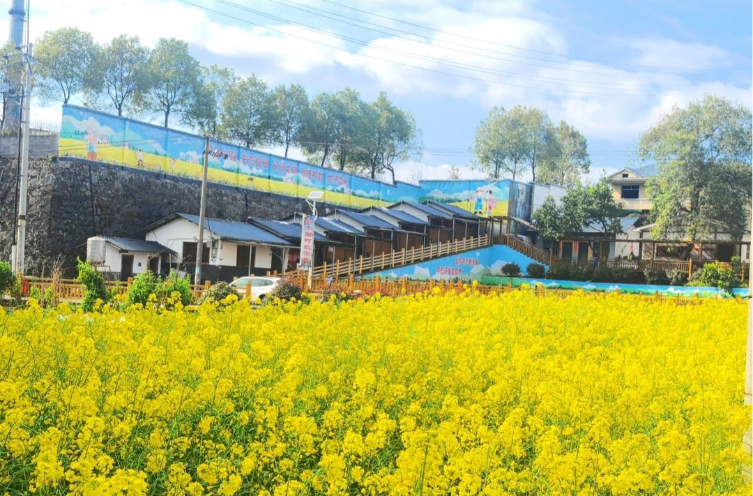 新農(nóng)村建設｜春天里的四方井