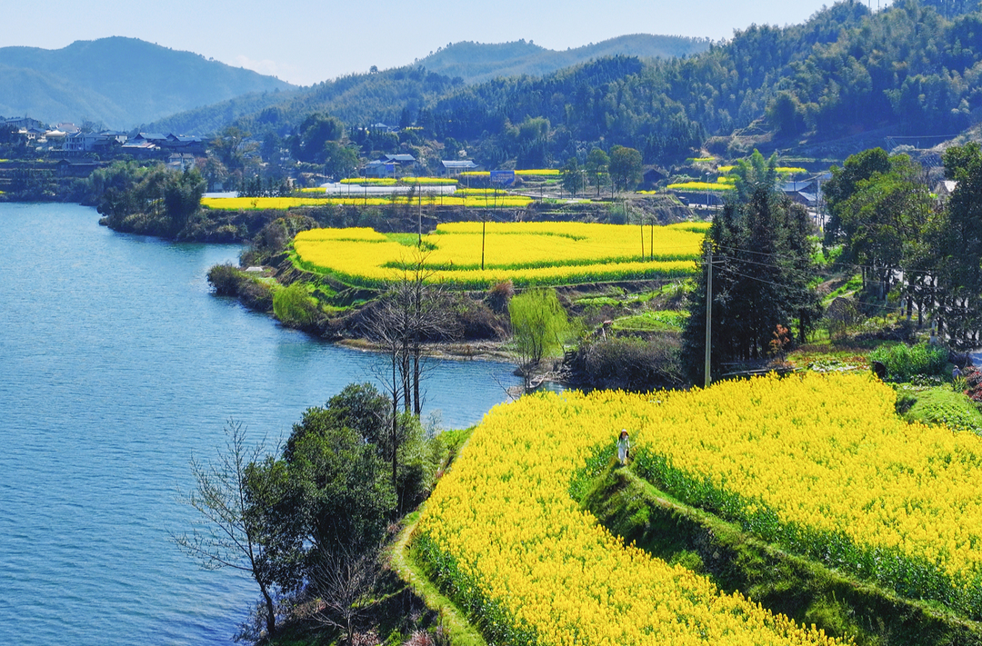 福地懷化·浪漫季｜大美懷化：山黛水清花爛漫，春日勝景入畫來(lái)