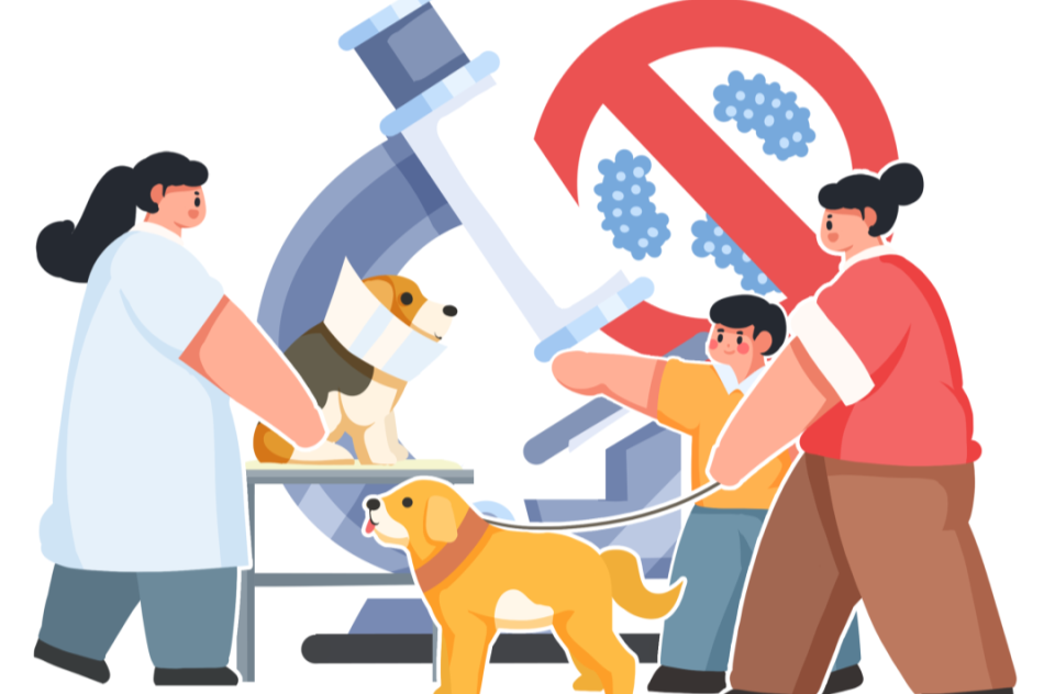 預(yù)防狂犬病 為生命多筑一道防線