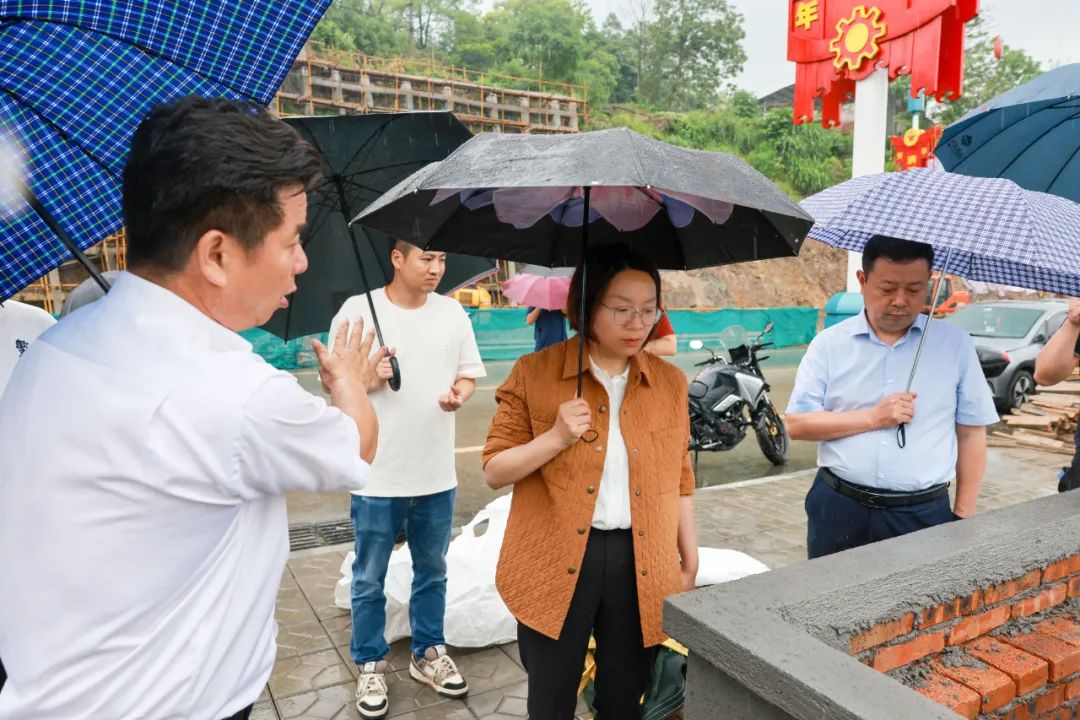 楊健桃調(diào)研“芳華年代”項(xiàng)目建設(shè)情況