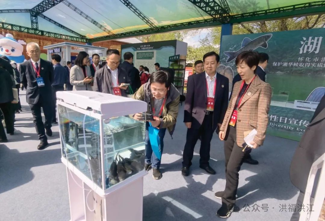 洪江區(qū)案例亮相2025年國際生物多樣性日宣傳活動