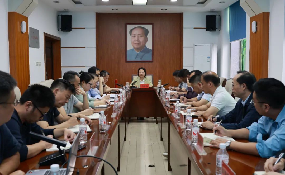 楊健桃主持召開洪江古商城街巷垂直綠化方案設計匯報會