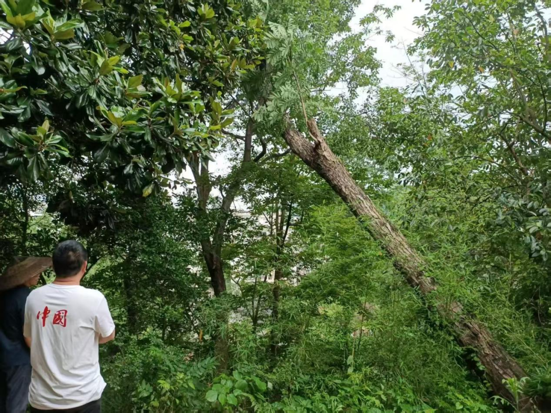 以“安”為責(zé)，清隱患護(hù)平安