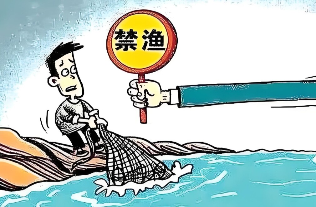 洪江區(qū)森林公安破獲一起非法捕撈案 涉案漁獲超2000斤