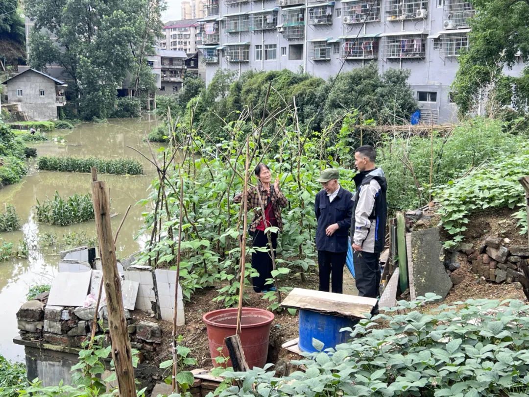 以“迅”應“汛”，筑牢“安全堤”