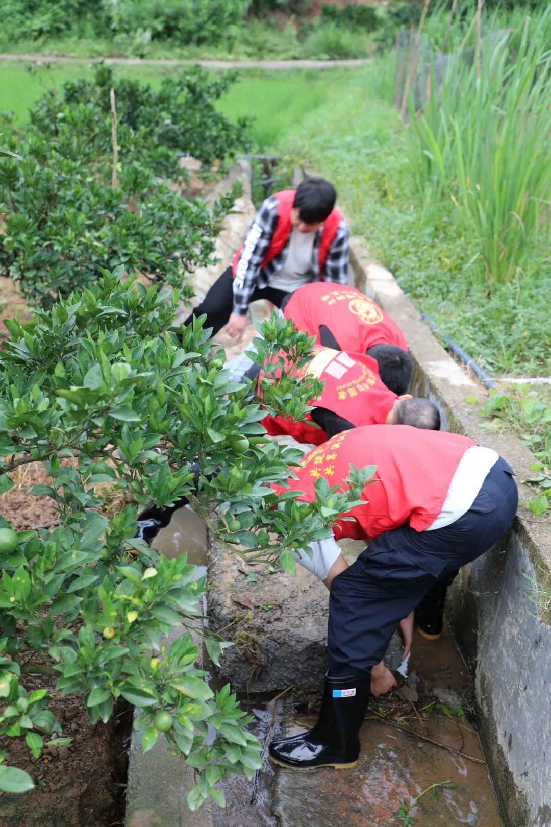 迎難而上 向險(xiǎn)前行