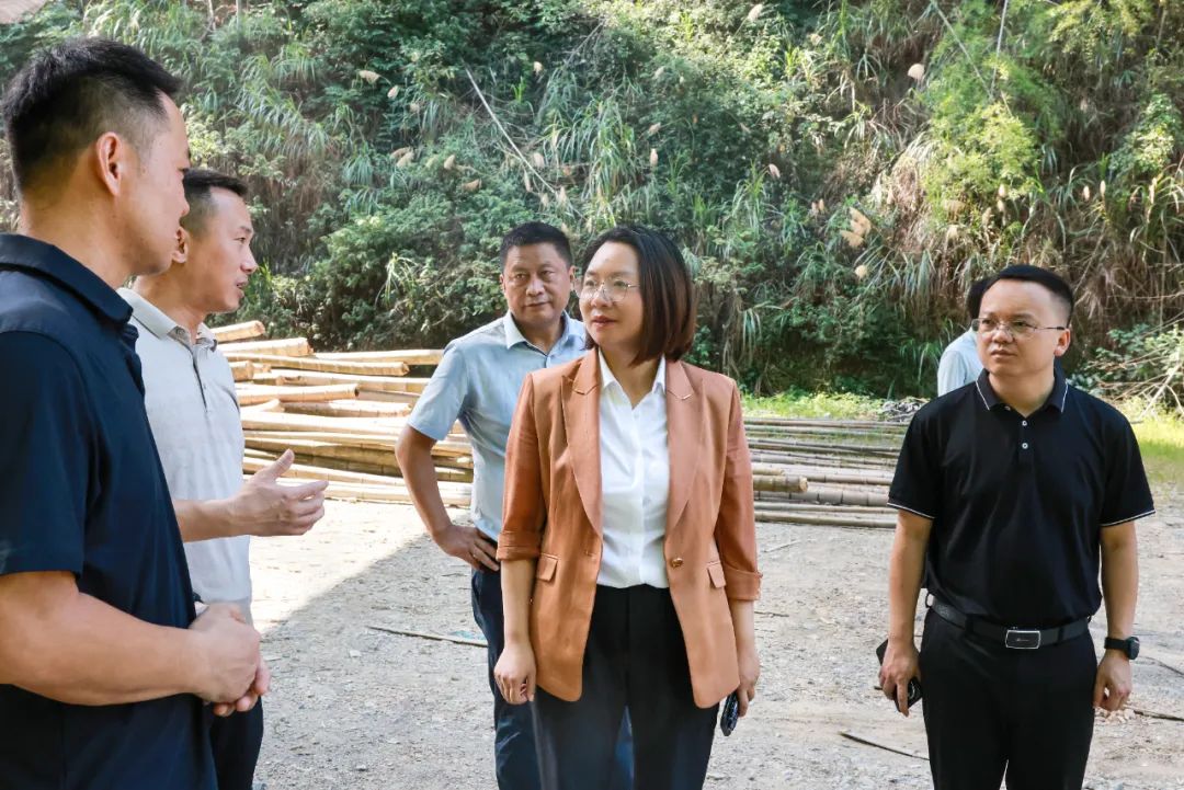 楊健桃督辦人大代表建議工作