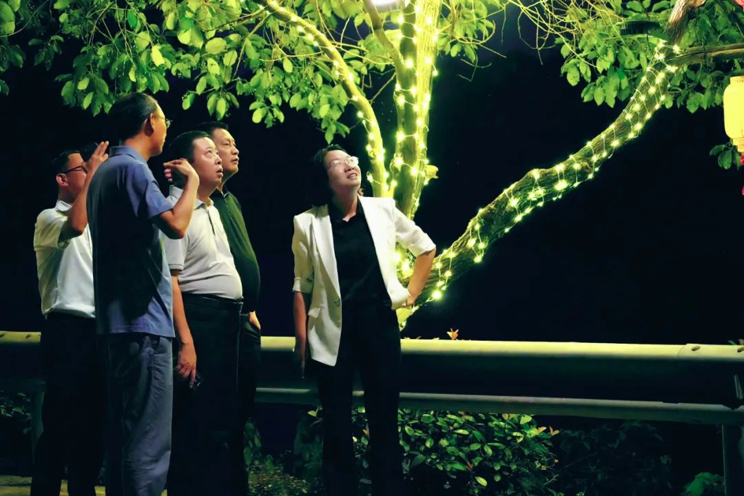 杨健桃：做好氛围营造让夜景亮起来、美起来