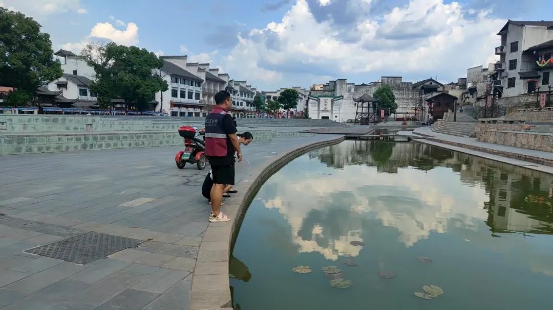 严密防控“蚊患”，筑牢健康屏障