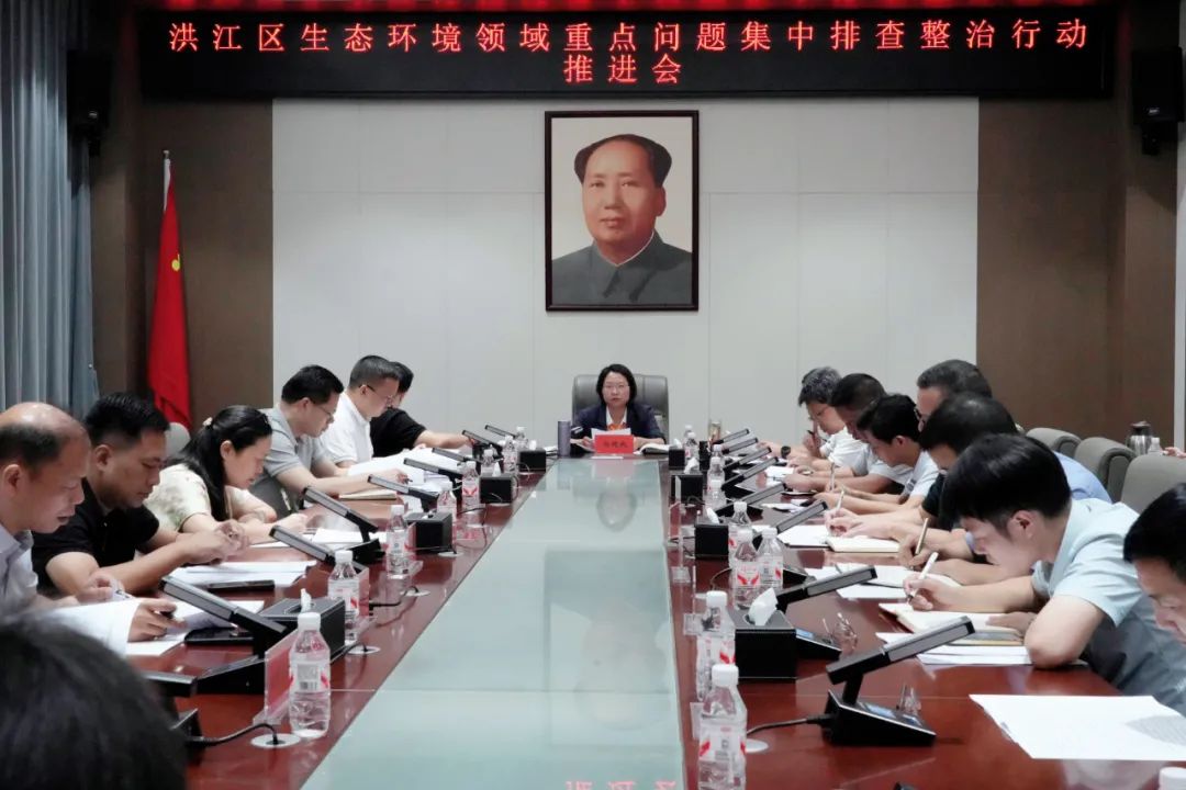 洪江区生态环境领域重点问题集中排查整治行动推进会召开