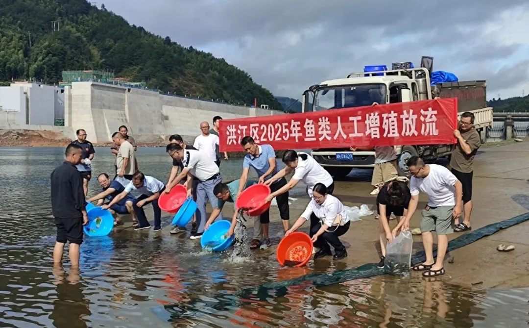 洪江区80万尾鱼苗投放沅江