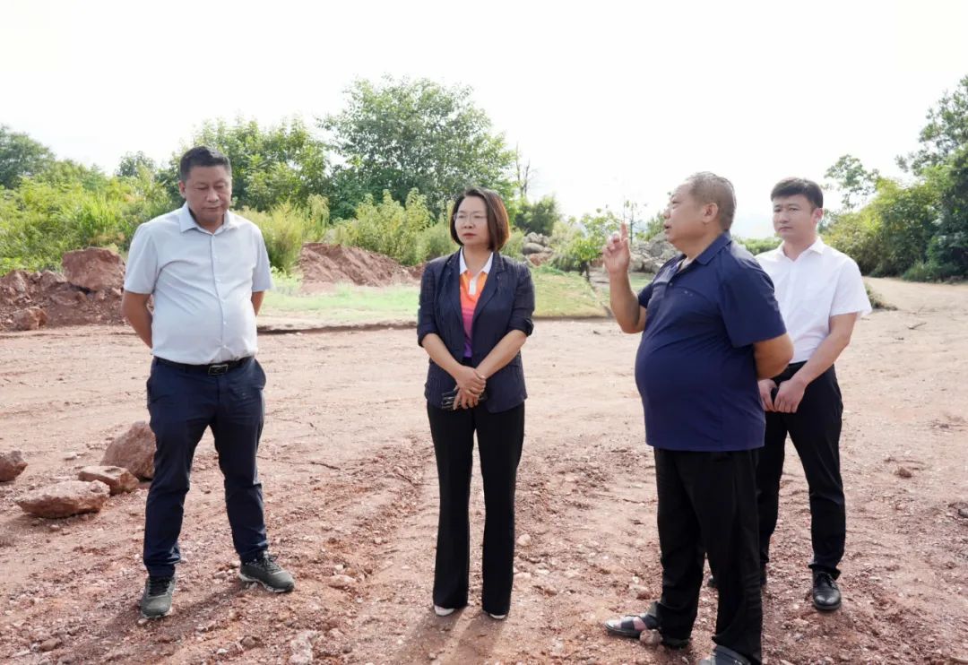 杨健桃专题调研建筑垃圾处置消纳工作