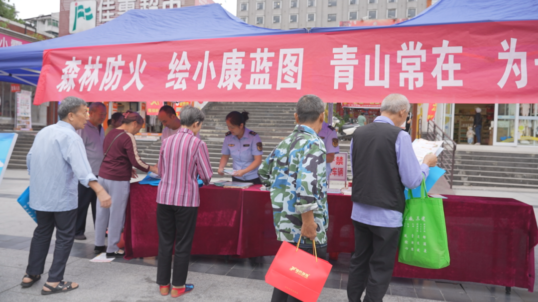 筑牢森林“防火墙”！洪江区启动森防宣传月活动