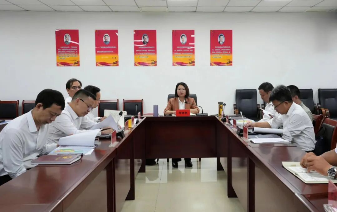 杨健桃主持召开全区国土空间规划委员会会议