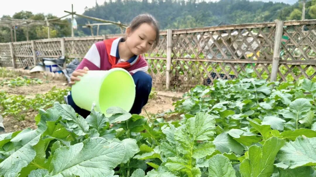 秋收正當(dāng)時(shí)，悅享勞動(dòng)美