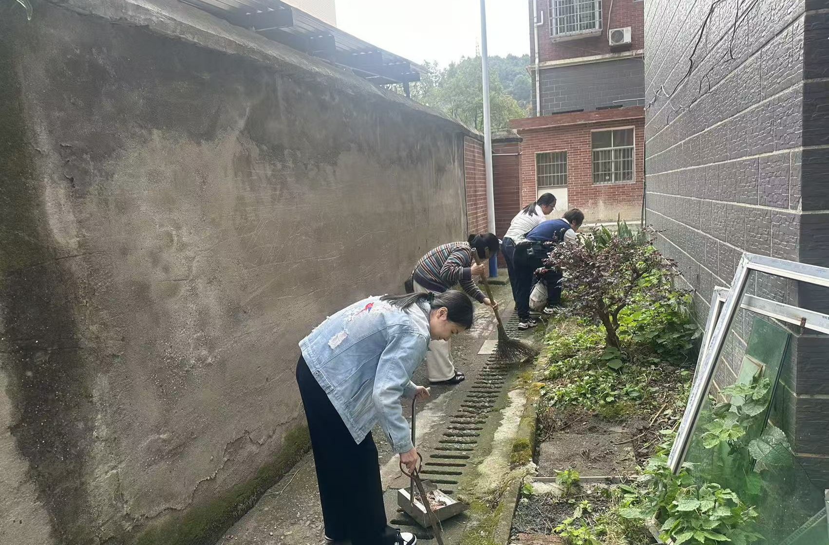 为文明创建添砖加瓦，他们在行动！