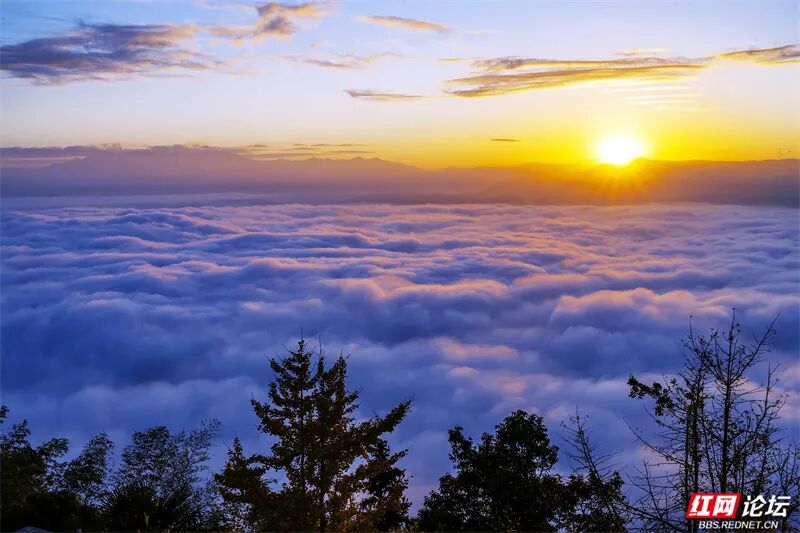 洪江古商城：云海日出 天地画卷