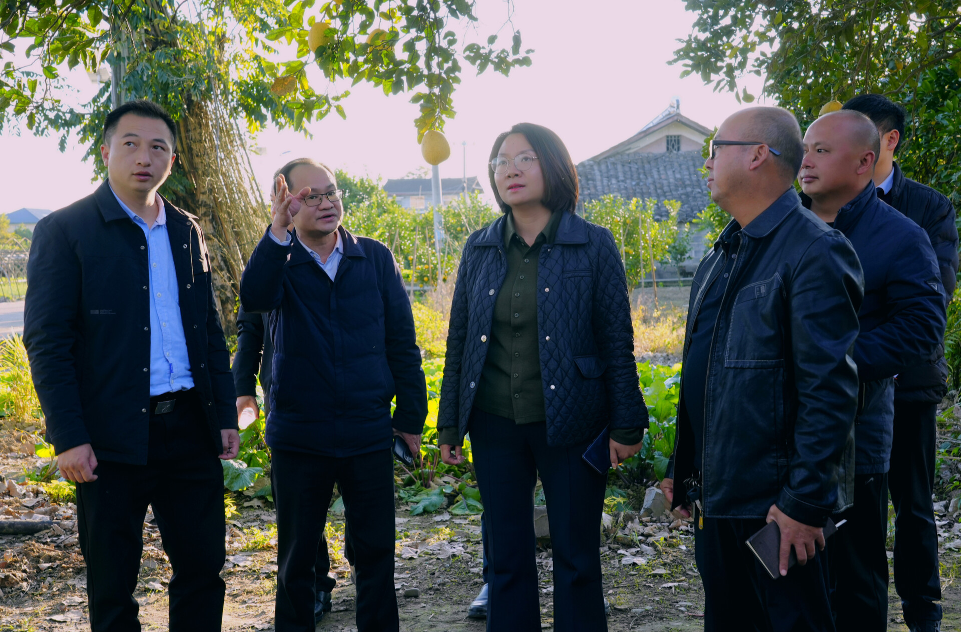 杨健桃调研岩门村巩固拓展脱贫攻坚成果同乡村振兴有效衔接工作