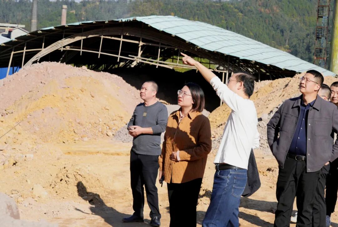 杨健桃：抓实两大项目建设 提速惠民见实效