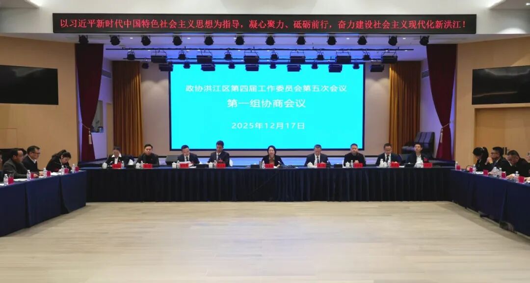 杨健桃参加政协洪江区工委四届五次会议分组协商讨论会
