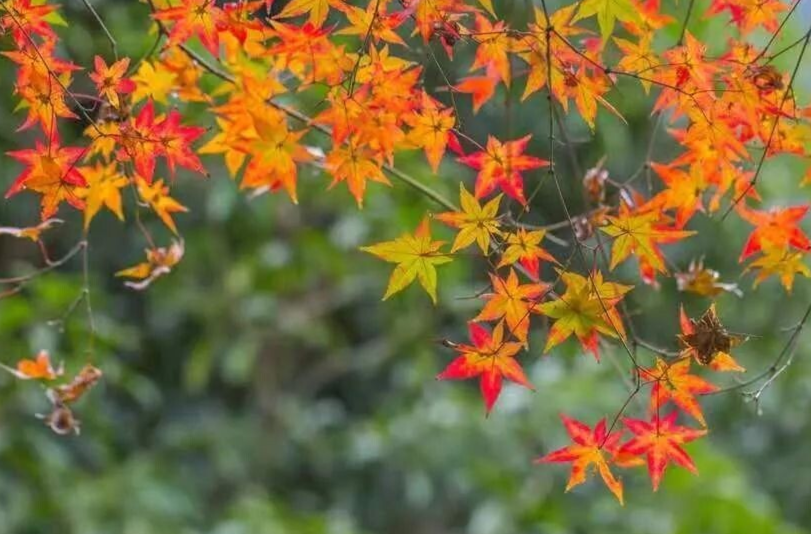 我们的青春印记