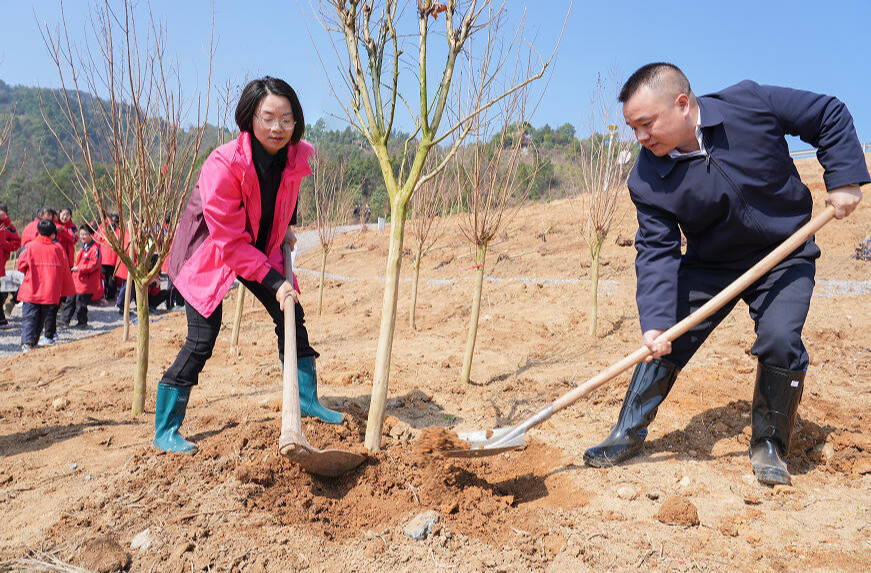不負春光添新綠 洪江區(qū)開展2026年義務(wù)植樹活動