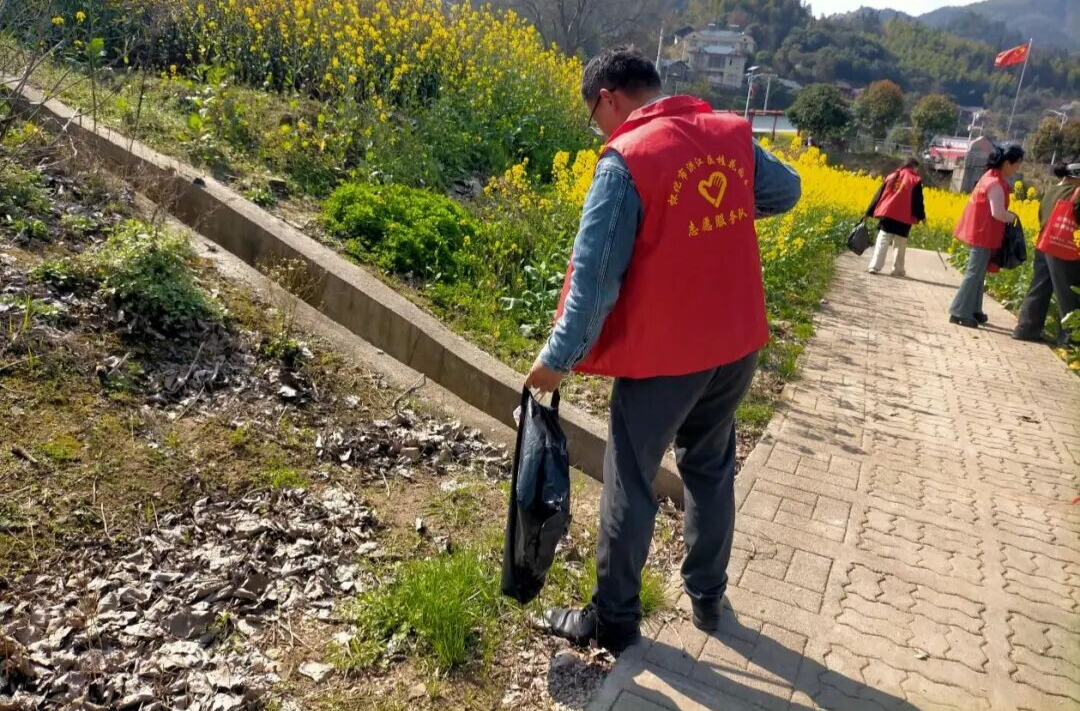 百亩油菜花盛开  志愿红守护花海美