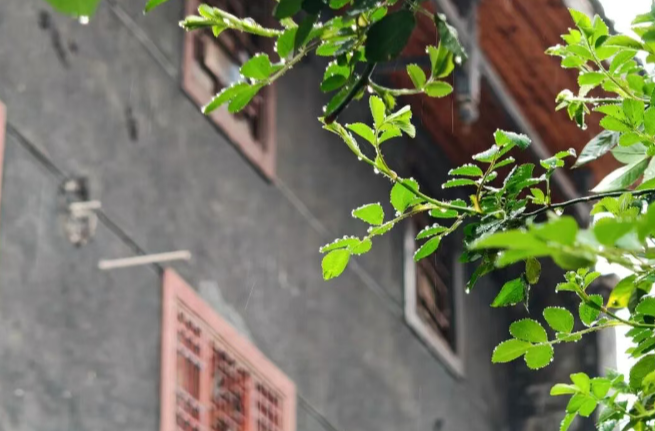一簾春雨醉洪江