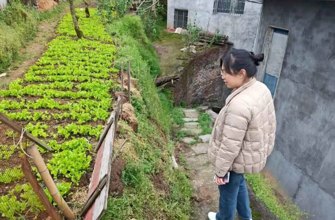 黨群志愿齊踏查 無(wú)毒家園共守護(hù)