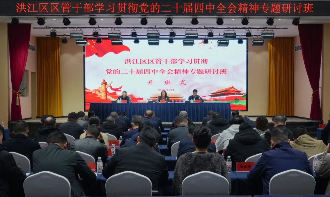 楊健桃：深學(xué)篤行實(shí)干擔(dān)當(dāng)奮力譜寫洪江區(qū)高質(zhì)量發(fā)展新篇章