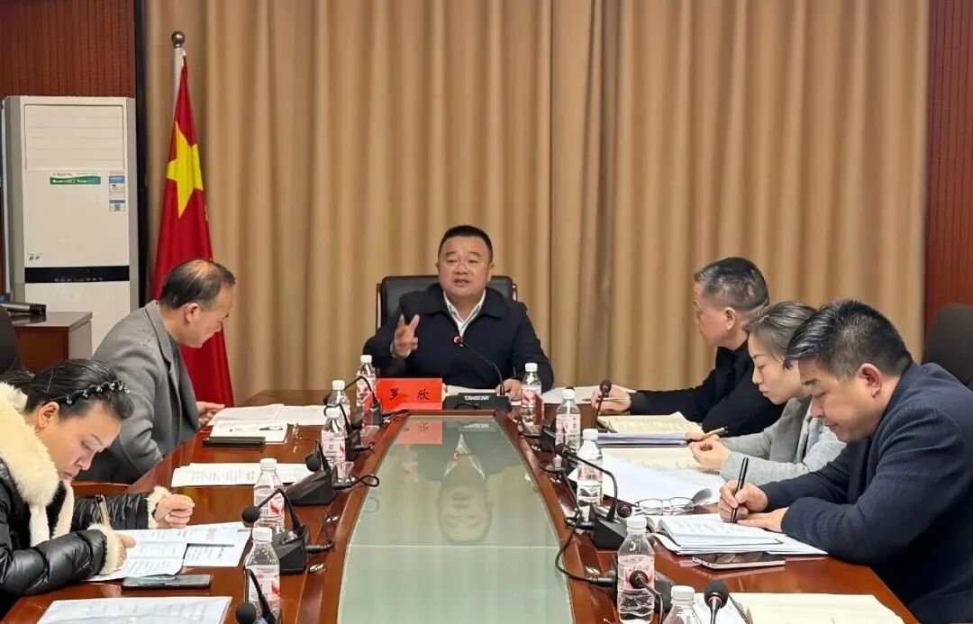 羅欣主持召開洪江區(qū)產(chǎn)業(yè)鏈工作調(diào)度會