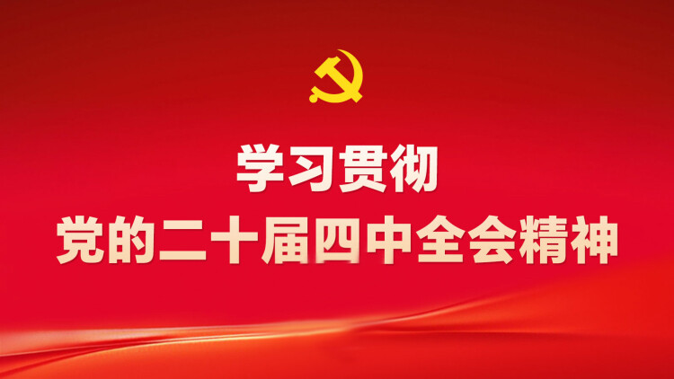 学习贯彻党的二十届四中全会精神