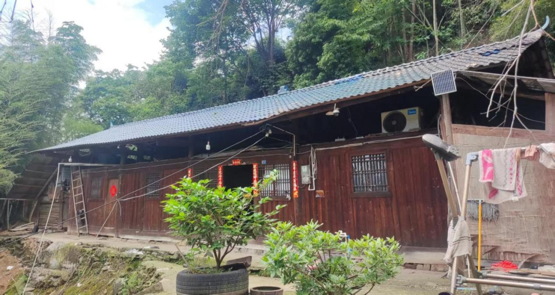 大树压损民房，桂花园乡火速化解险情